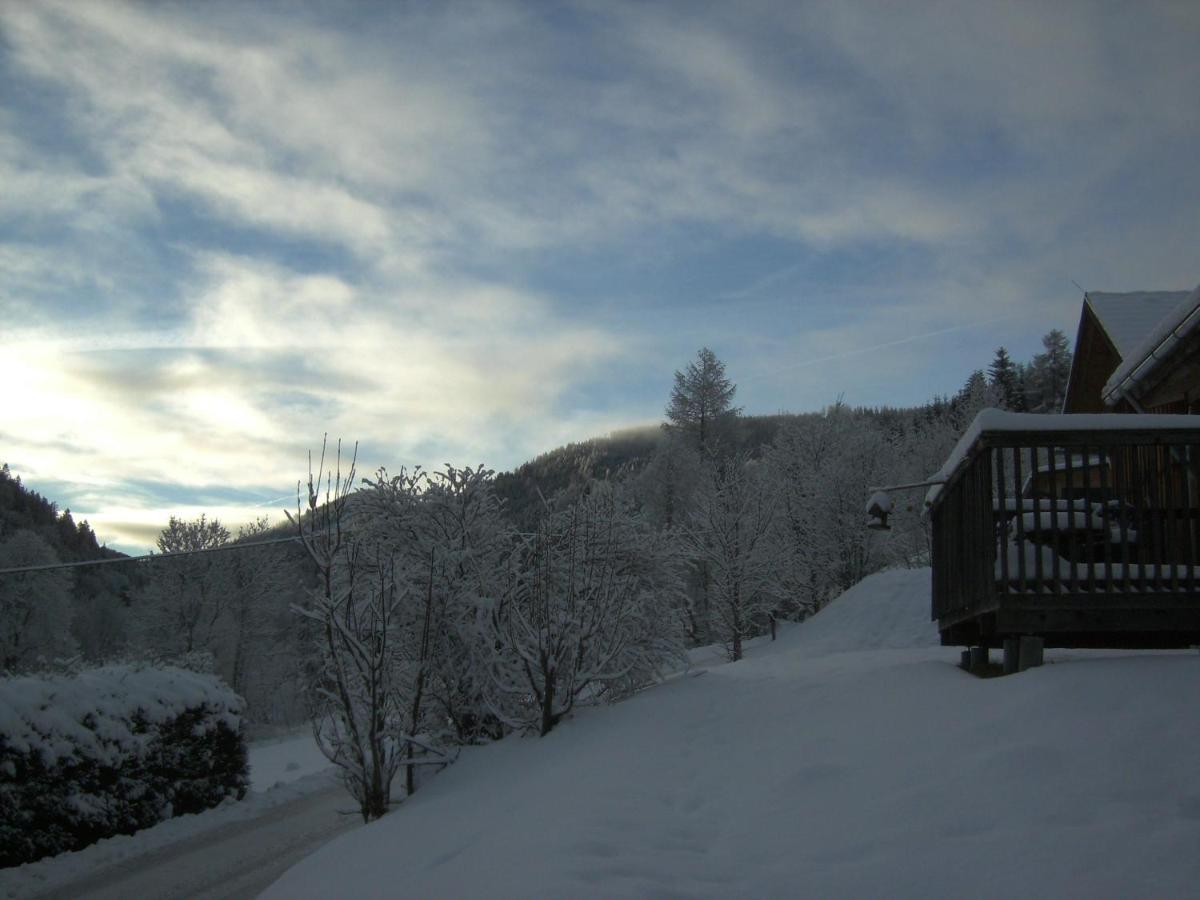 Chalet ?Snow Bunny? Stadl an der Mur Exterior photo